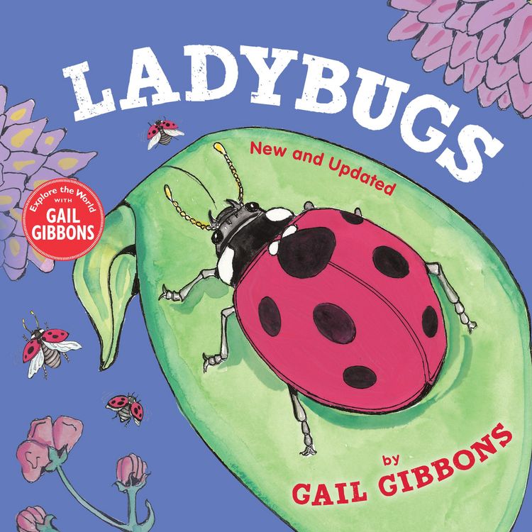 Produktbild: Ladybugs (New & Updated)