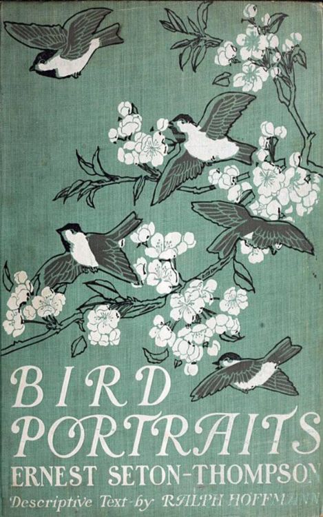 Produktbild: Bird Portraits