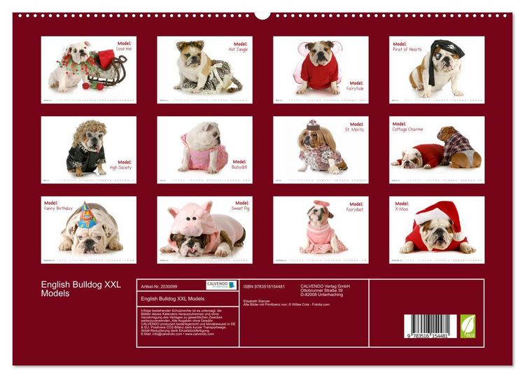 Produktbild: English Bulldog XXL Models (hochwertiger Premium Wandkalender 2026 DIN A2 quer), Kunstdruck in Hochglanz