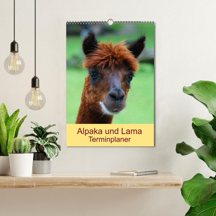Produktbild: Alpaka und Lama Terminplaner (Wandkalender 2026 DIN A3 hoch), CALVENDO Monatskalender