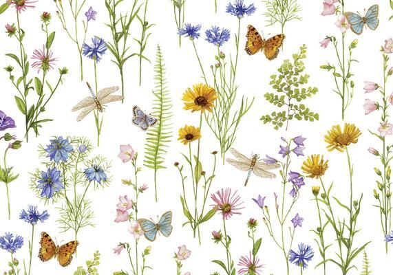 Produktbild: Wildflower Garden Note Cards (14 Cards, 15 Self-Sealing Envelopes)