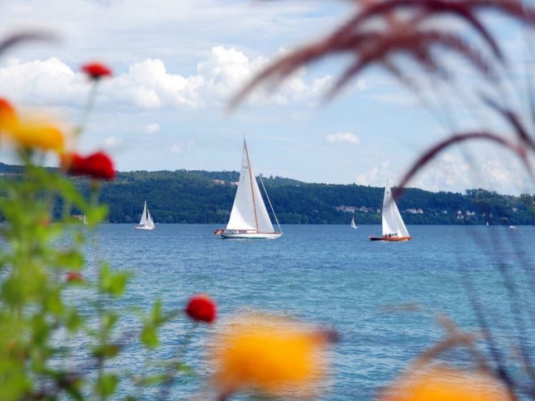 Produktbild: CALVENDO Puzzle Segelboote auf dem Bodensee | 1000 Teile Lege-Gr&ouml;&szlig;e 64x48cm Foto-Puzzle f&uuml;r gl&uuml;ckliche Stunden