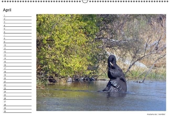 Produktbild: begegnungen - elefanten im s&uuml;dlichen afrika (Wandkalender immerw&auml;hrend DIN A2 quer)
