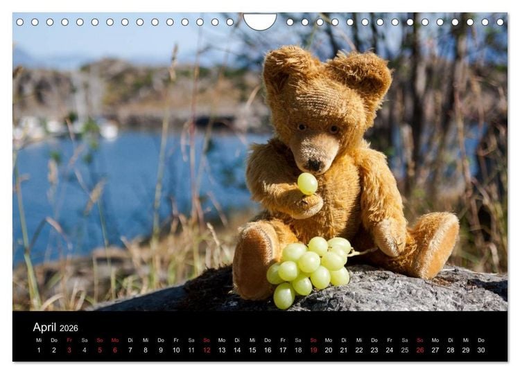 Produktbild: Teddy Basse, Fortsetzung... (Wandkalender 2026 DIN A4 quer), CALVENDO Monatskalender
