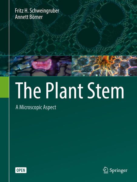 Produktbild: The Plant Stem