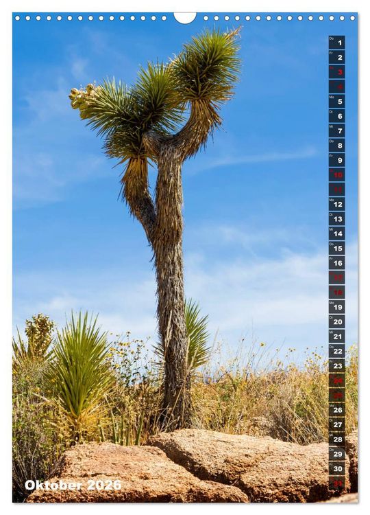 Produktbild: Impressionen aus dem JOSHUA TREE NATIONAL PARK (Wandkalender 2026 DIN A3 hoch), CALVENDO Monatskalender