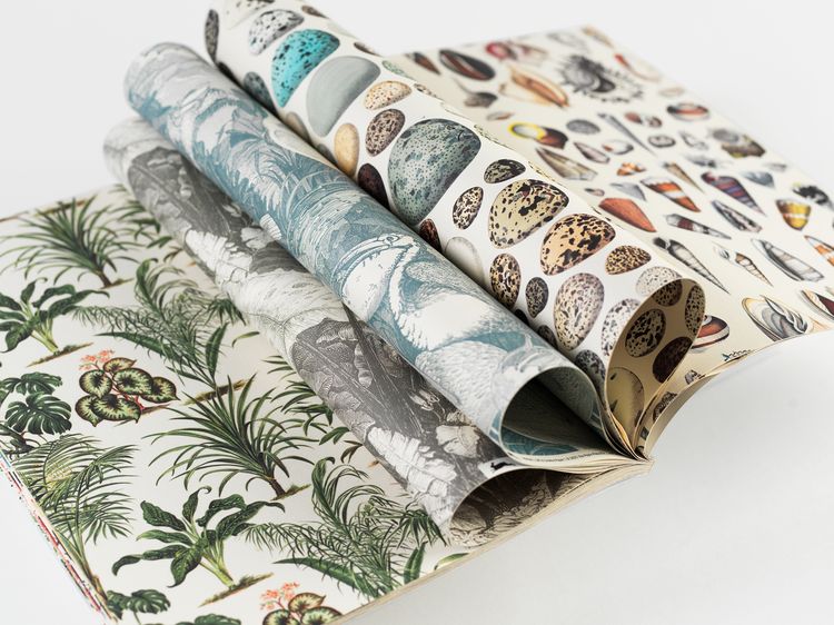 Produktbild: Natural History