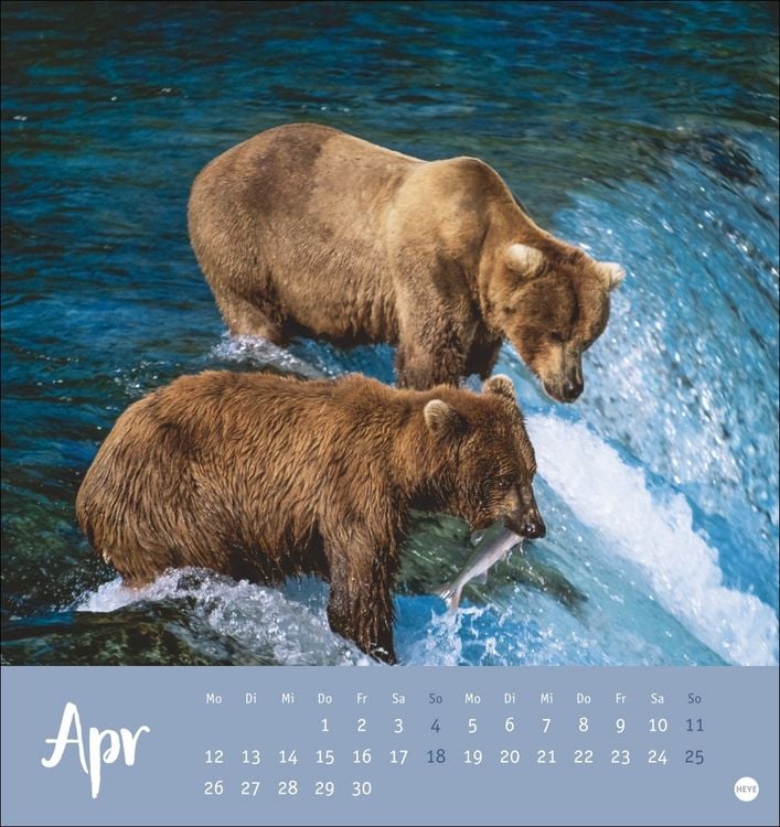 Produktbild: B&auml;renstark Postkartenkalender 2027