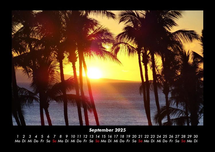 Produktbild: Palmentraum 2025 Fotokalender DIN A3
