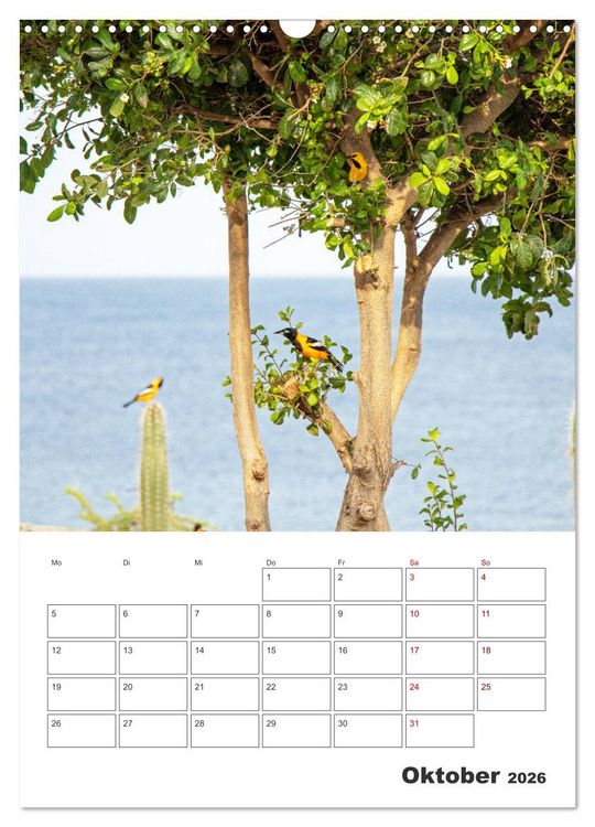 Produktbild: Curacao - Terminplaner (Wandkalender 2026 DIN A3 hoch), CALVENDO Monatskalender