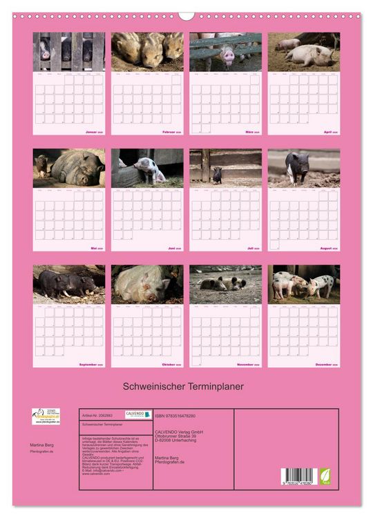 Produktbild: Schweinischer Terminplaner (Wandkalender 2026 DIN A2 hoch), CALVENDO Monatskalender