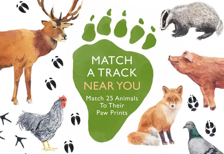 Produktbild: Match a Track Near You