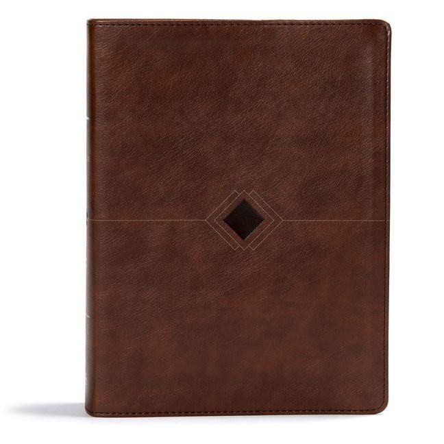 Produktbild: CSB Day-By-Day Chronological Bible, Brown Leathertouch