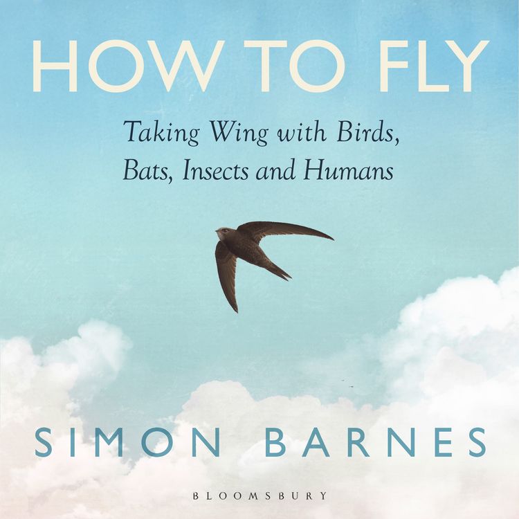 Produktbild: How to Fly