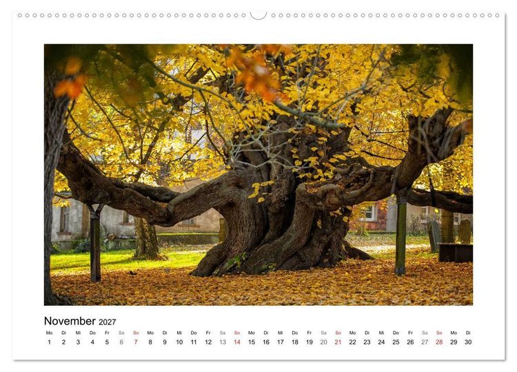 Produktbild: Impressionen aus Ostwestfalen-Lippe (Wandkalender 2027 DIN A2 quer), CALVENDO Monatskalender