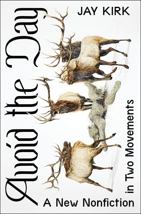 Produktbild: Avoid the Day