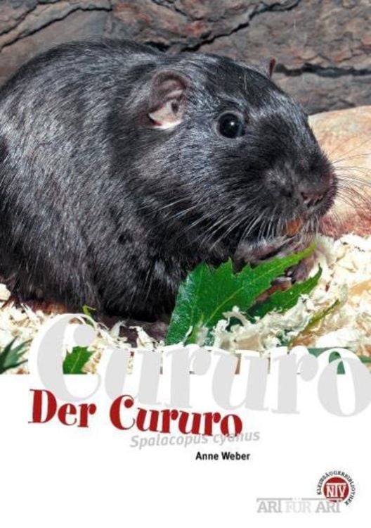 Produktbild: Der Cururo