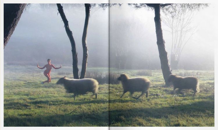 Produktbild: Animalia