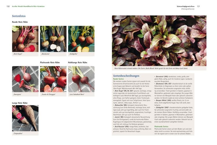 Produktbild: Handbuch Bio-Gem&uuml;se
