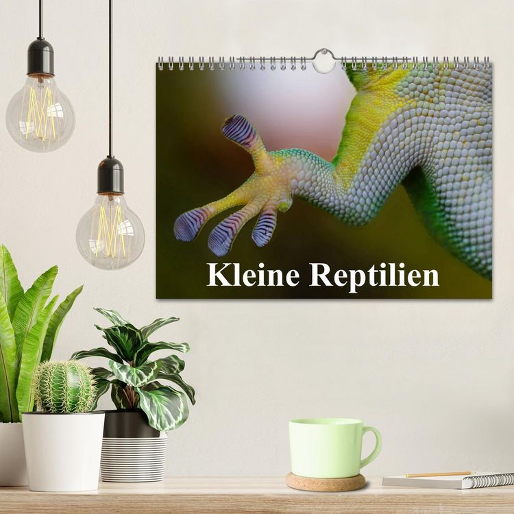 Produktbild: Kleine Reptilien (Wandkalender 2026 DIN A4 quer), CALVENDO Monatskalender