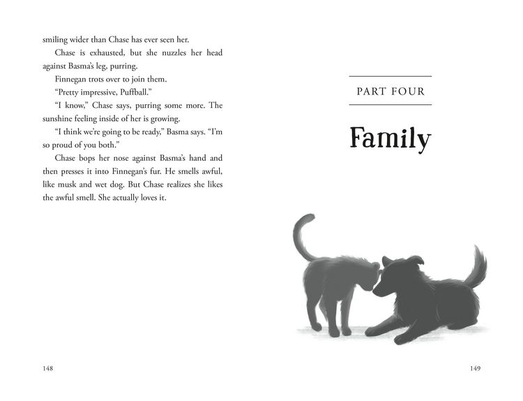 Produktbild: The Unlikely Tale of Chase and Finnegan