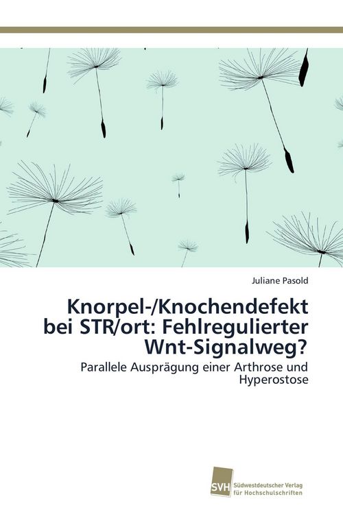 Produktbild: Knorpel-/Knochendefekt bei STR/ort: Fehlregulierter Wnt-Signalweg?
