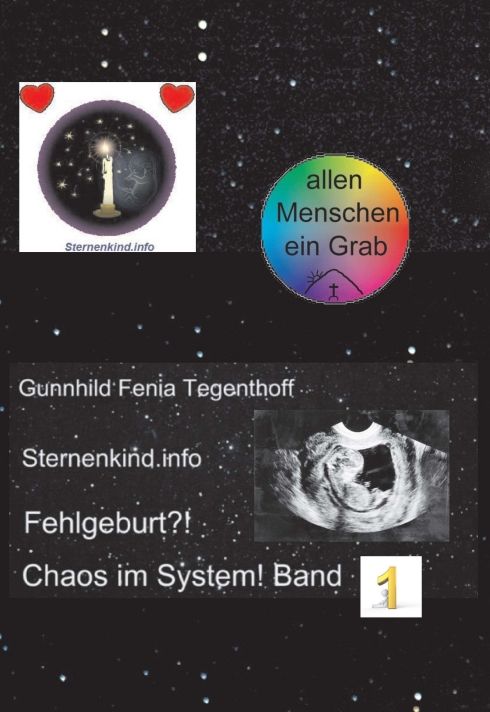 Produktbild: Fehlgeburt? Chaos im System! Band 1