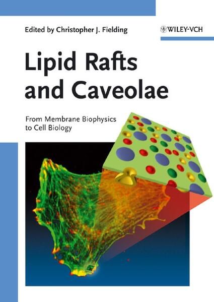Produktbild: Lipid Rafts and Caveolae