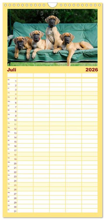 Produktbild: Familienplaner 2026 - Deutsche Dogge mit 5 Spalten (Wandkalender, 21 x 45 cm) CALVENDO