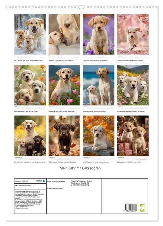 Produktbild: Mein Jahr mit Labradoren (Wandkalender 2027 DIN A2 hoch), CALVENDO Monatskalender