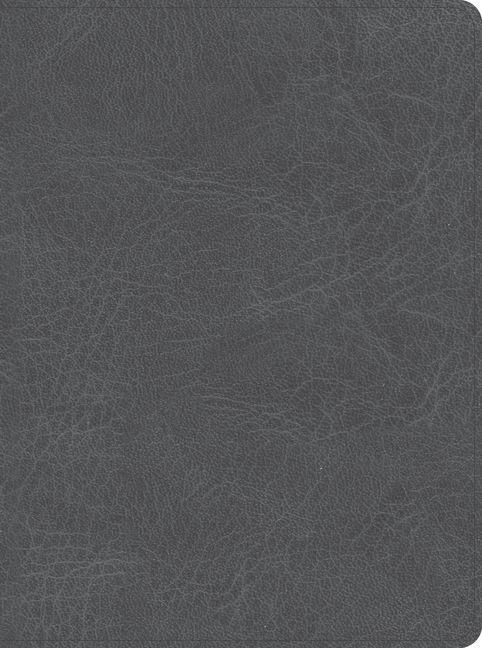 Produktbild: CSB He Reads Truth Bible, Smoke Leathertouch, Indexed