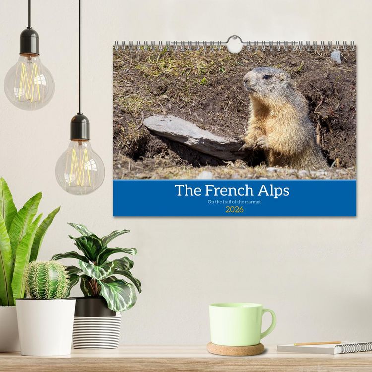 Produktbild: The French Alps, on the trail of the marmot (Wall Calendar 2026 DIN A4 landscape), CALVENDO 12 Month Wall Calendar