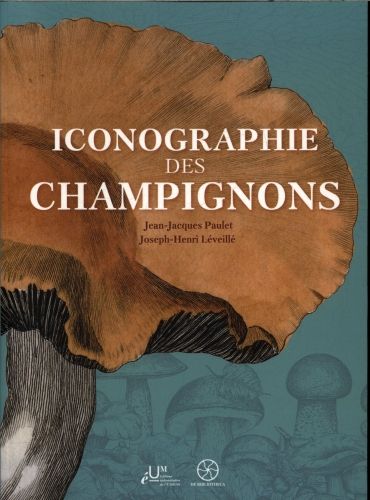 Produktbild: Iconographie des champignons