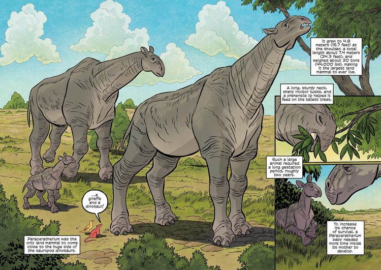 Produktbild: Science Comics: Prehistoric Mammals