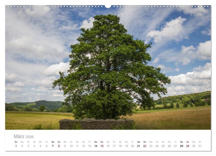 Produktbild: Wundersch&ouml;ne B&auml;ume im Sauerland (hochwertiger Premium Wandkalender 2026 DIN A2 quer), Kunstdruck in Hochglanz