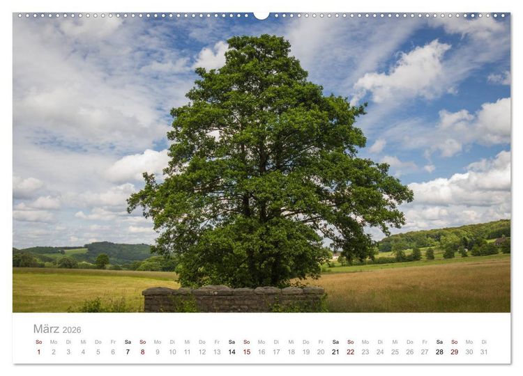 Produktbild: Wundersch&ouml;ne B&auml;ume im Sauerland (Wandkalender 2026 DIN A2 quer), CALVENDO Monatskalender