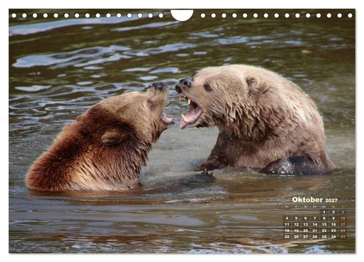 Produktbild: WILDE TIERE IN AKTION (Wandkalender 2027 DIN A4 quer), CALVENDO Monatskalender