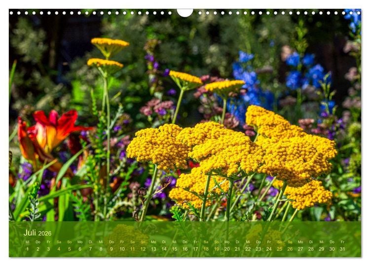 Produktbild: der staudengarten zu bad hersfeld (Wandkalender 2026 DIN A3 quer), CALVENDO Monatskalender