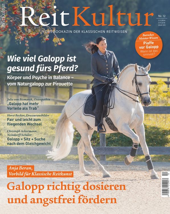 Produktbild: ReitKultur 12