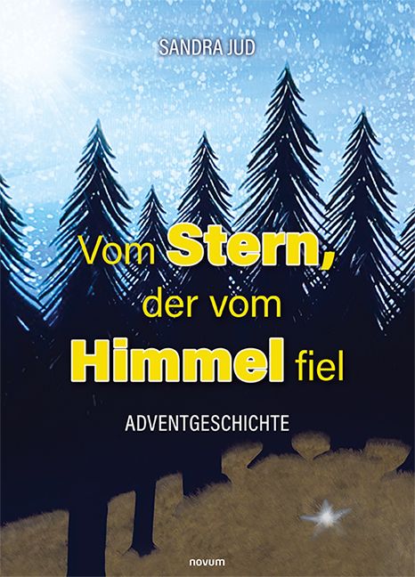 Produktbild: Vom Stern, der vom Himmel fiel