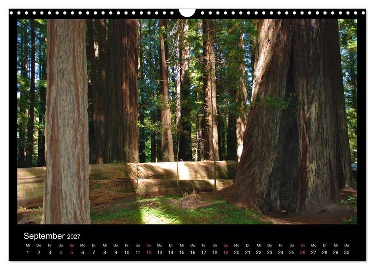 Produktbild: USA - Nordwesten (Wandkalender 2027 DIN A3 quer), CALVENDO Monatskalender