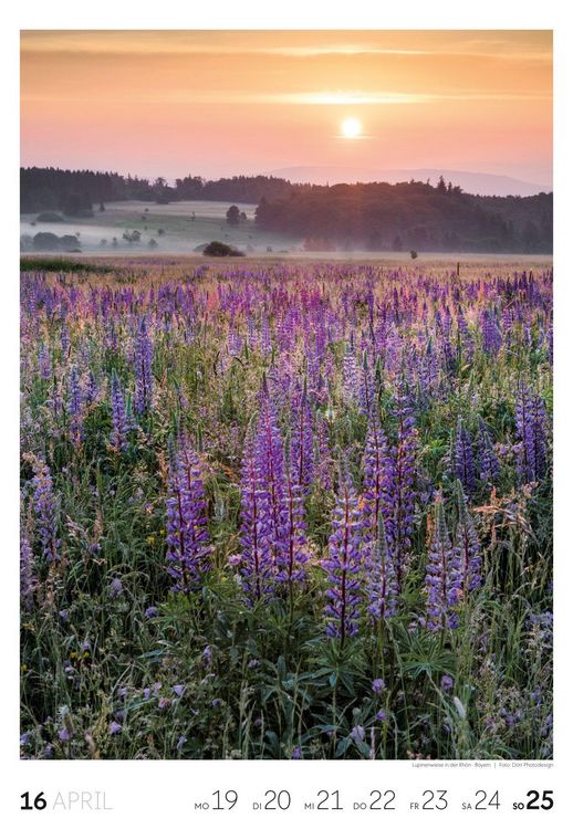 Produktbild: Natur Wochenkalender 2027