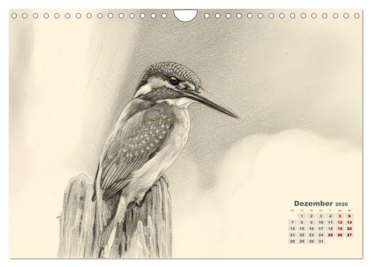 Produktbild: Wilde Seelen - Tierische Momente in Graphit (Wandkalender 2026 DIN A4 quer), CALVENDO Monatskalender