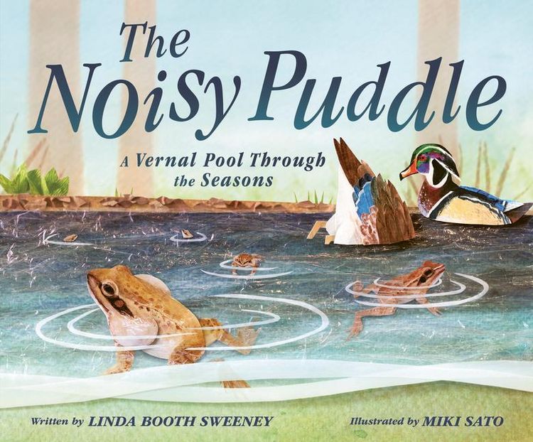 Produktbild: The Noisy Puddle