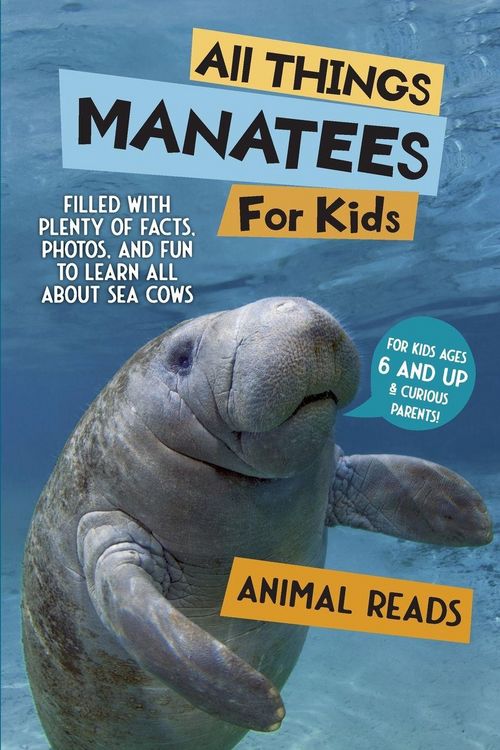 Produktbild: All Things Manatees For Kids