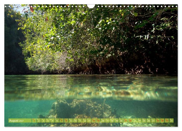 Produktbild: Mangroves - Valuable Habitat (Wall Calendar 2027 DIN A3 landscape), CALVENDO 12 Month Wall Calendar