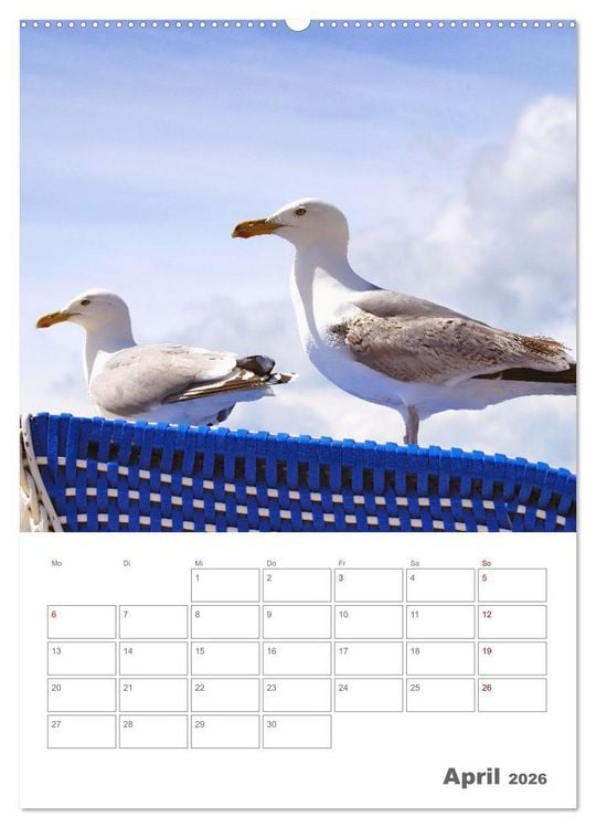 Produktbild: Mein Warnem&uuml;nde - Das moderne Ostseebad im Norden von Rostock (Wandkalender 2026 DIN A2 hoch), CALVENDO Monatskalender