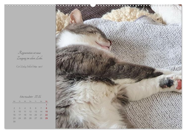 Produktbild: H&auml;ng einfach mal ab (hochwertiger Premium Wandkalender 2026 DIN A2 quer), Kunstdruck in Hochglanz
