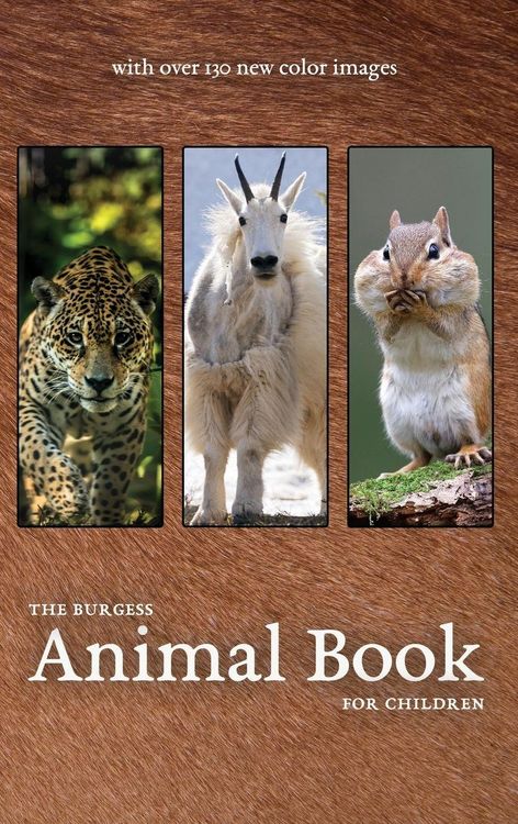 Produktbild: The Burgess Animal Book with new color images