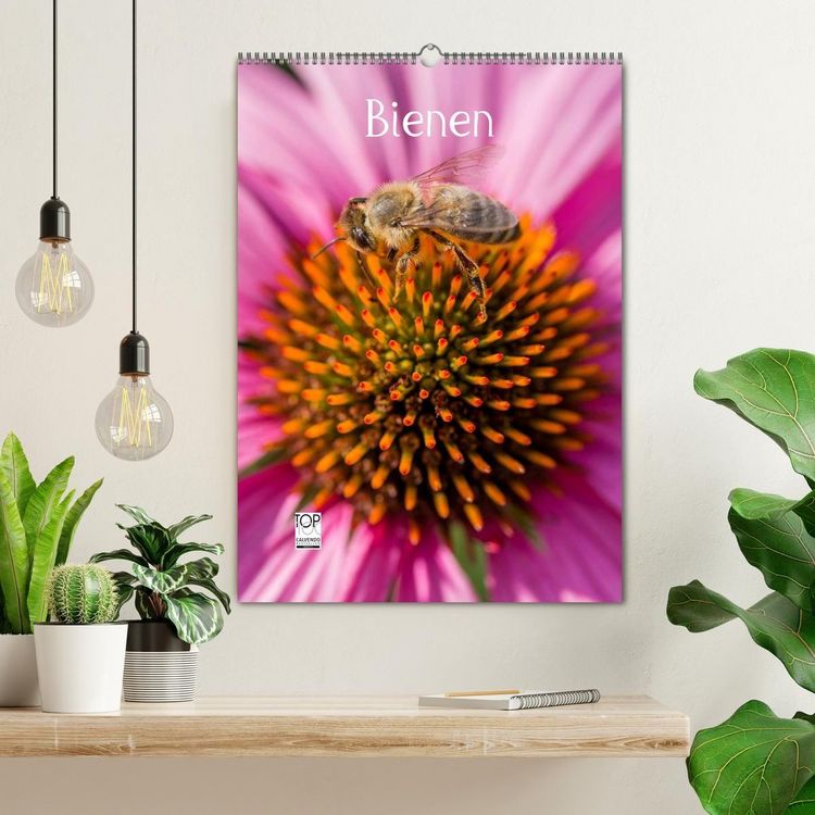 Produktbild: Bienenkalender (Wandkalender 2027 DIN A2 hoch), CALVENDO Monatskalender